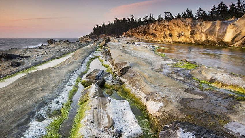 The Oregon Coast: The U.S. Road Trip as Beautiful as Highway 1. Condé Nast Traveler, Pacific Northwest Beach HD wallpaper