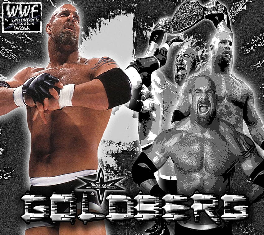 WWE GOLDBERG, Cool Goldberg HD wallpaper | Pxfuel