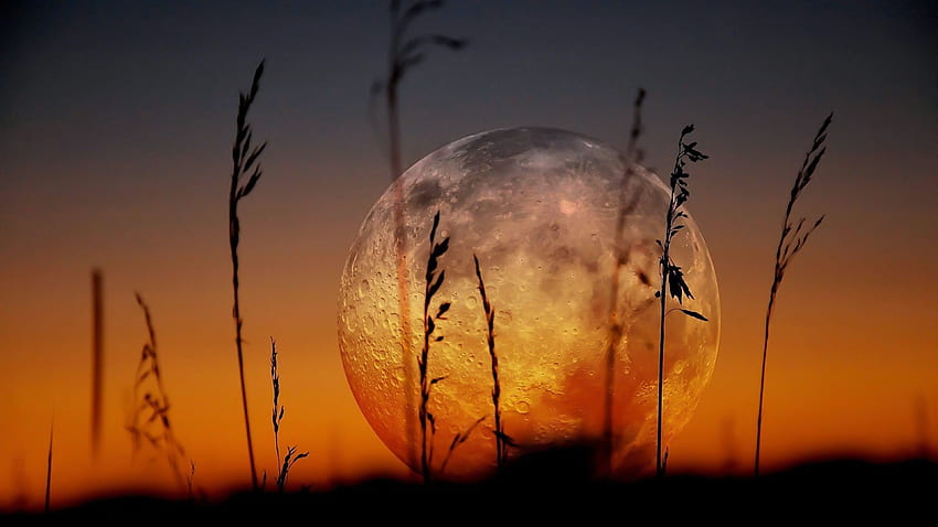 Moon and Background, Super Moon at Sunset HD wallpaper