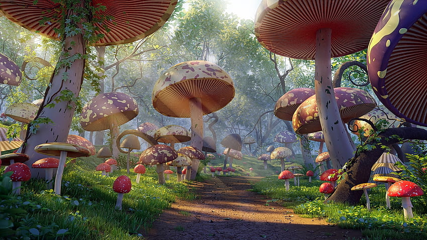 Cartoon Mushroom, Anime Mushroom HD wallpaper | Pxfuel