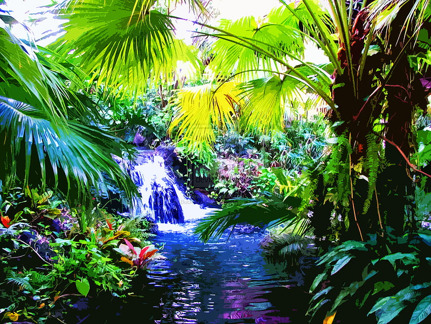 Rainbow Tropical Rainforest Waterfalls High Re HD wallpaper