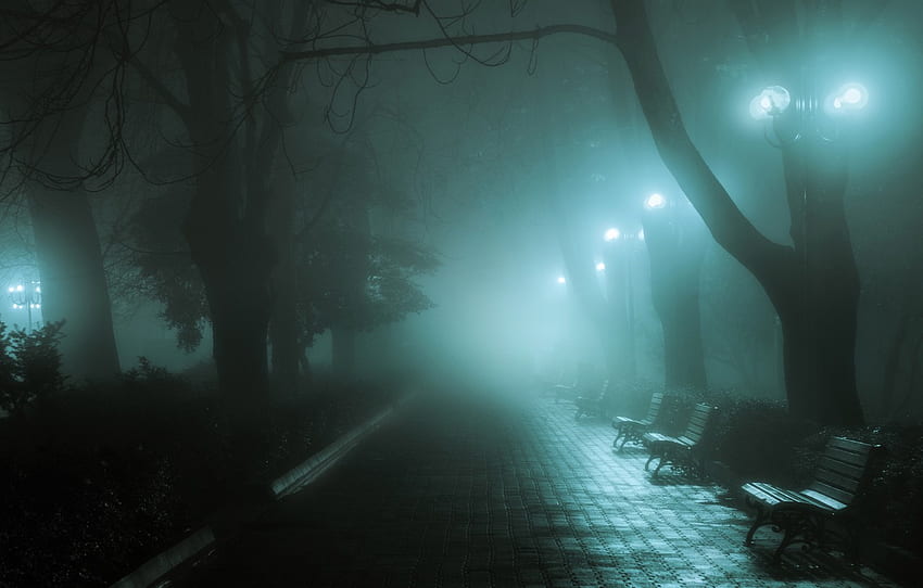 herbst, licht, nacht, die stadt, nebel, straße, lichter, der bürgersteig, bänke, bänke für , abschnitt пейзажи, Foggy Street HD-Hintergrundbild