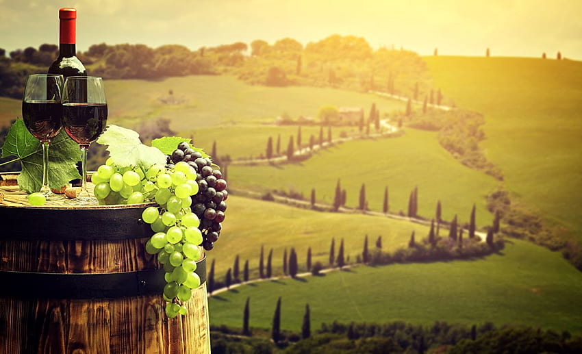 Toscana - Wine In Tuscany - HD wallpaper