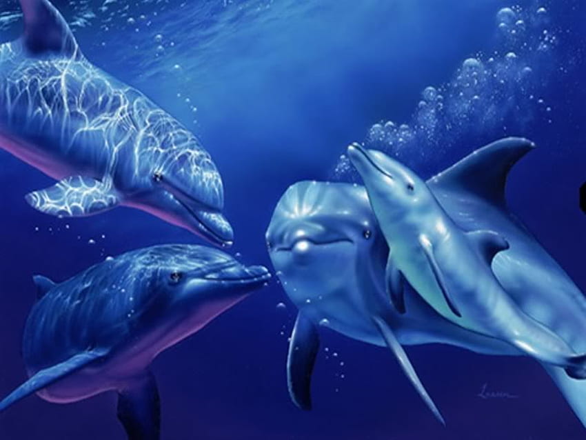 DOLPINS FIVE, baby, dolphins, look, ocean HD wallpaper