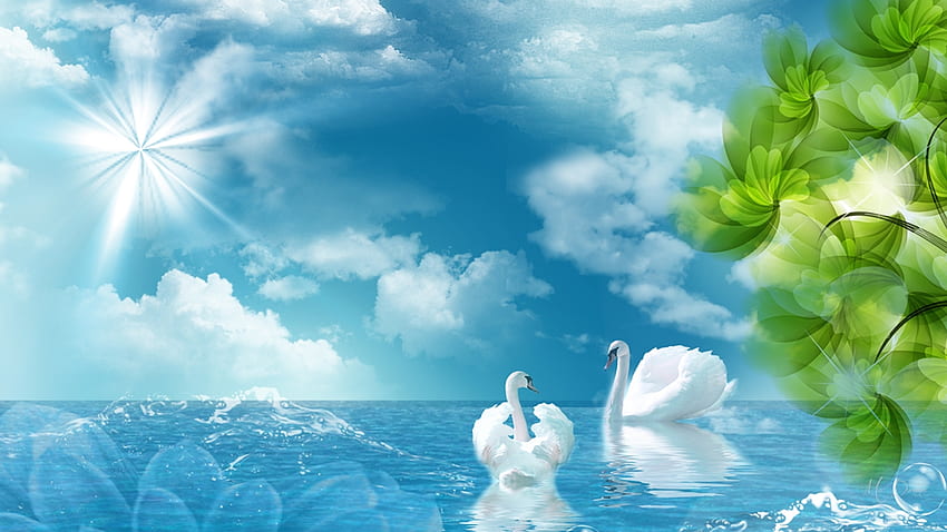 Swan Paradise, blue, sea, swans, birds, trees, sky, Firefox Persona theme, lake HD wallpaper