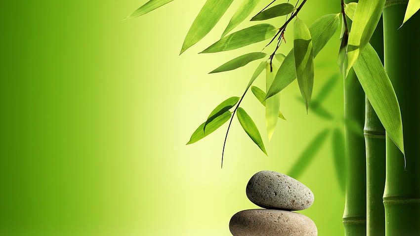 Zen Spa . Water artwork, Bamboo art, Meditation art HD wallpaper