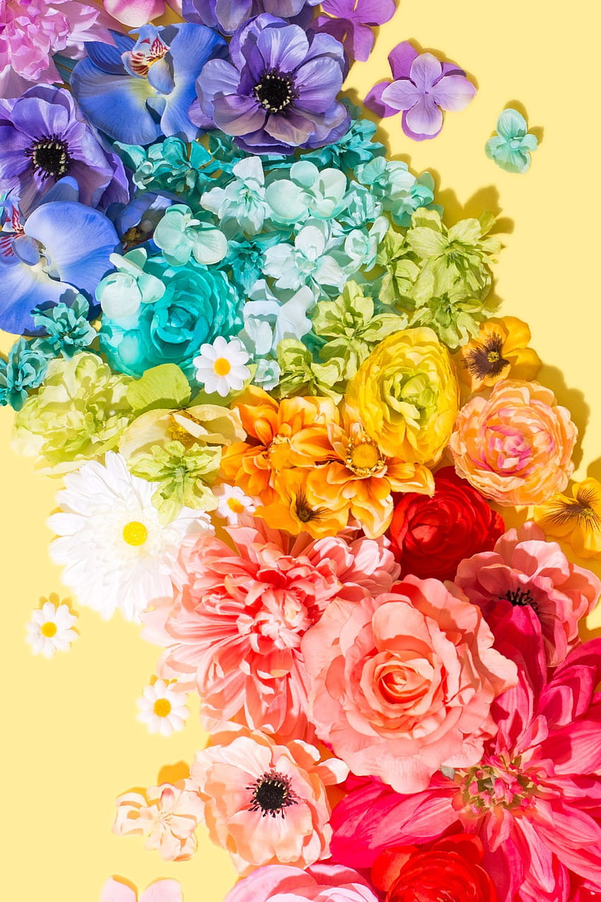 Here Comes Spring / Violet Tinder Studios. Flora. Rainbow, Rainbow Roses HD phone wallpaper