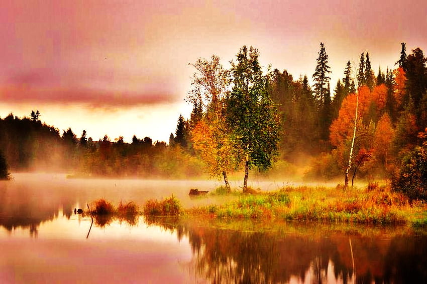 Mists of autumn, mist, yellow, green, fall, red, trees, orange, lake HD wallpaper