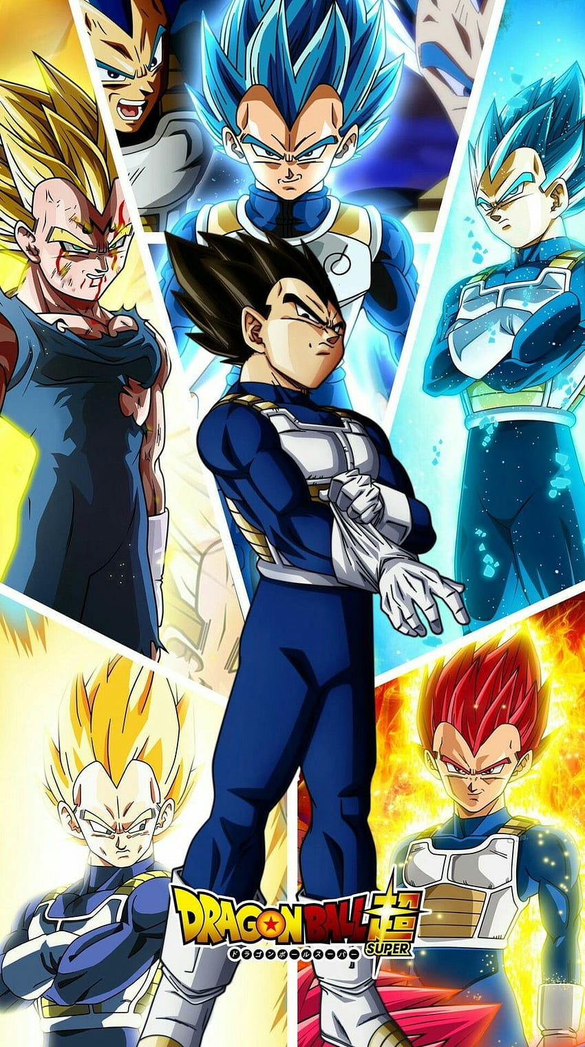 Vegeta alle Formen. DB. Dragonball, Drache und Goku, Goku-Transformation HD-Handy-Hintergrundbild