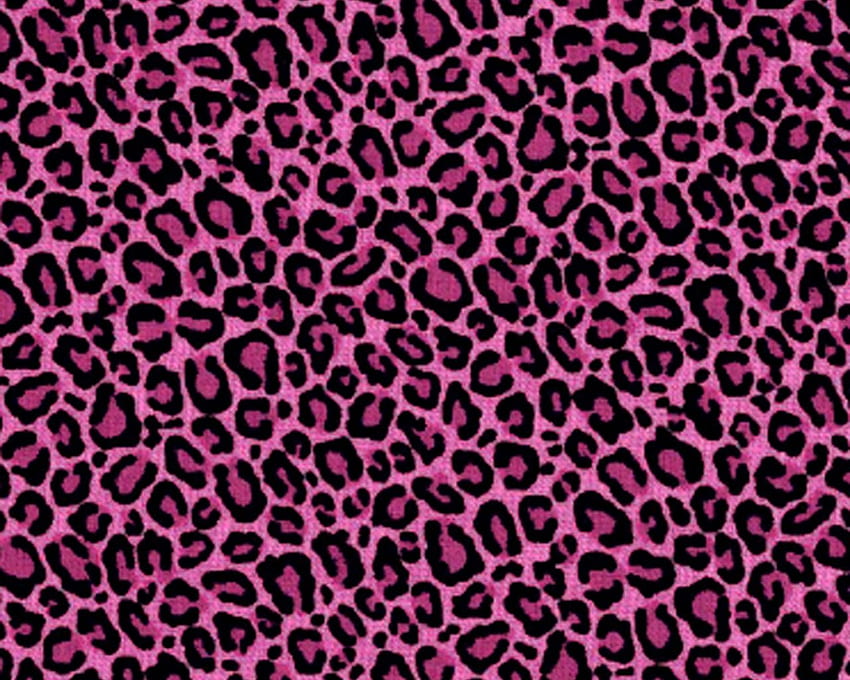 Rosa Leopardenhaut Rosa Leopardenhaut [] für Ihr , Handy & Tablet. Entdecken Sie Pink Cheetah Print. Zebradruck, Gepardendruck, rosa Tierdruck HD-Hintergrundbild