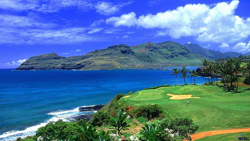 Hawaii , Hawaii 3D HD wallpaper | Pxfuel