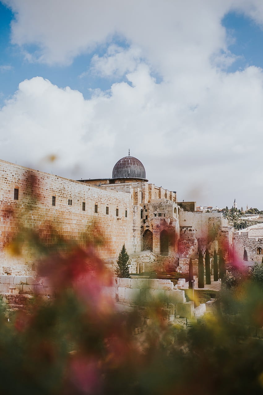 Eretz Yisrael. 48 israel, jerusalem, rock, dan kota tua terbaik di Unsplash, iPhone Yerusalem wallpaper ponsel HD