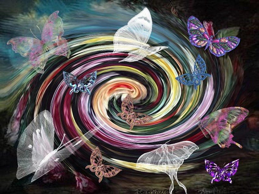 BUTTERFLY DREAMS, butterflies, colorful, dreams, swirls HD wallpaper