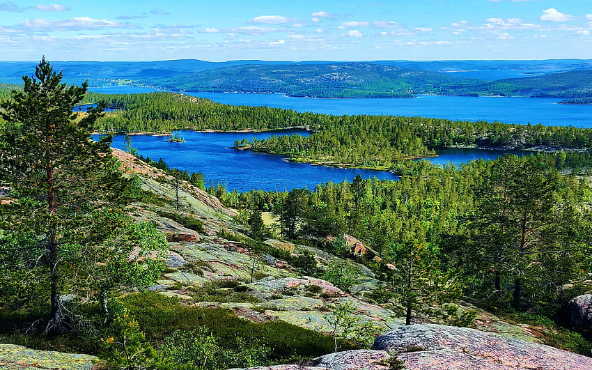 Skuleskogen, Sweden, national park, landscape, trees, sky, lake HD wallpaper