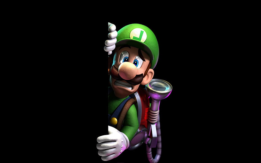 Assustado Mario Luigi, fan art, videogame papel de parede HD