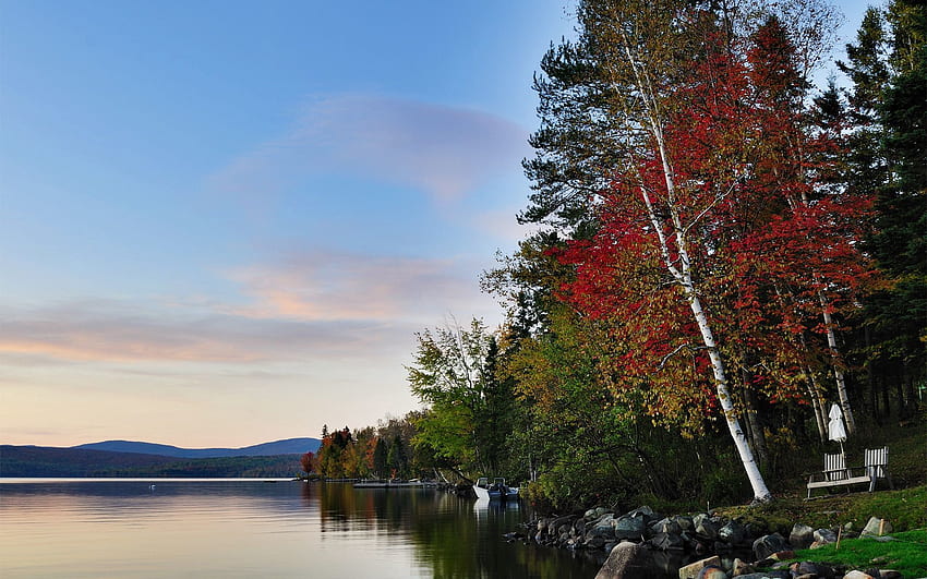 ภูมิทัศน์ ธรรมชาติ หิน ฤดูใบไม้ร่วง ทะเลสาบ ป่า วอลล์เปเปอร์ HD