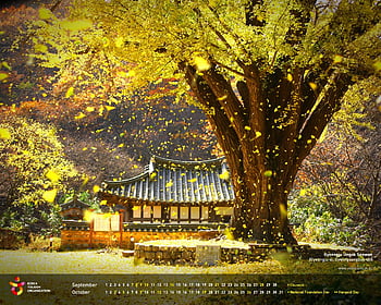 Autumn Korea: Mùa thu là thời điểm đẹp nhất để đến Hàn Quốc và chiêm ngưỡng những cảnh quang thay đổi màu sắc đầy ngời ngời. Hãy xem những hình ảnh về mùa thu ở Hàn Quốc để thấy rõ những con đường rực rỡ, những tán lá vàng rụng đẹp như tranh và những chốn cổ kính đẹp lãng mạn.