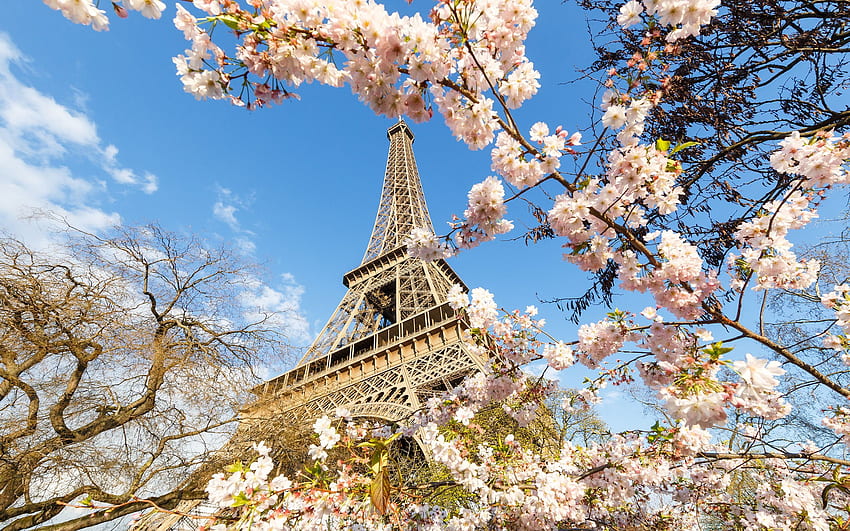 Spring Paris HD wallpaper