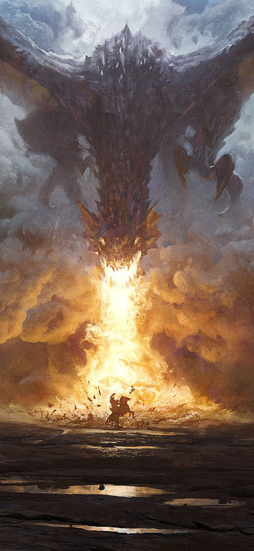 Dragon Breathing Fire On Shield - & Background, Cool Dragon HD phone wallpaper