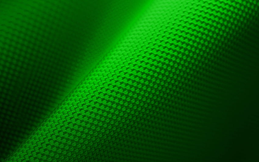Green One Colour Plain Solid Color Single - Color Plain Dark Green HD  wallpaper | Pxfuel