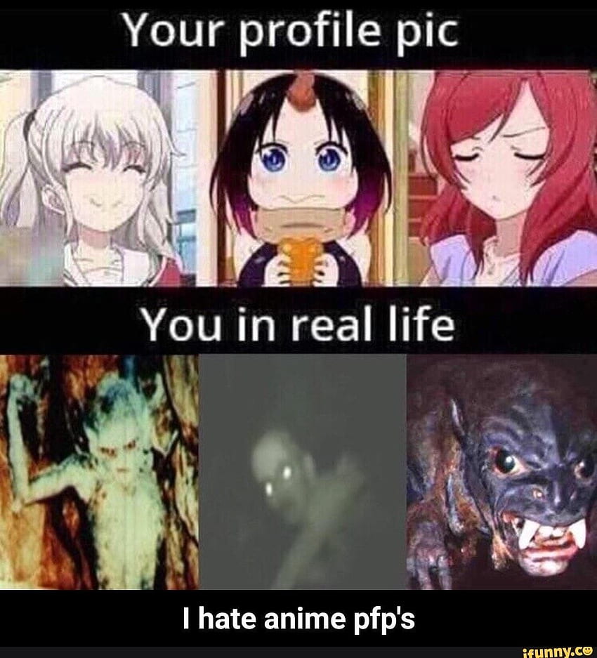 Never trust an anime girl pfp  Discord  Know Your Meme