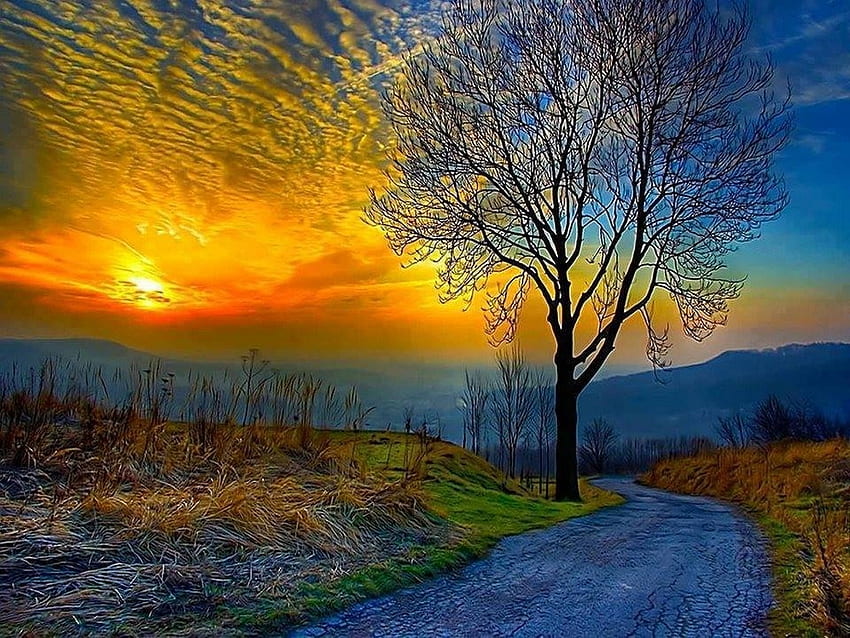 Ending to the day, road, evening, tree, sunset HD wallpaper