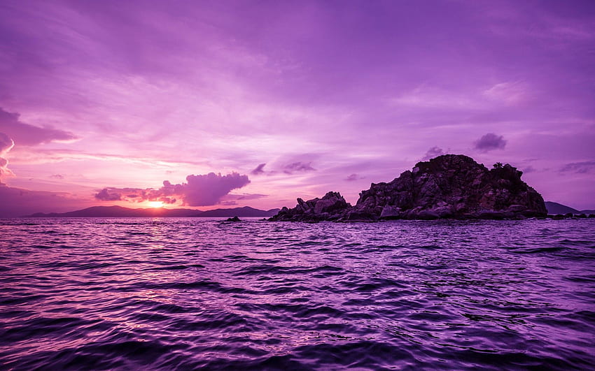 Pretty Purple Pelican Islands Pretty Purple [] for your , Mobile & Tablet. Explore Pretty Purple . Pink And Purple , Purple And Black , Cute Purple HD wallpaper