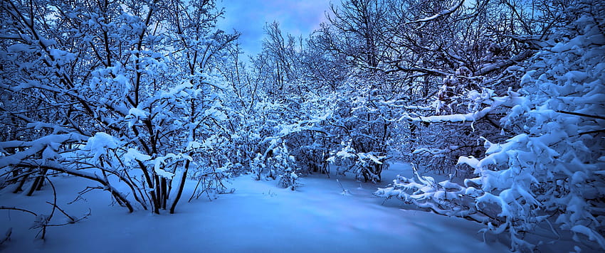 Snow Ultrawide dedicated for 21:9 , 3440X1440 Ultra Wide HD wallpaper |  Pxfuel