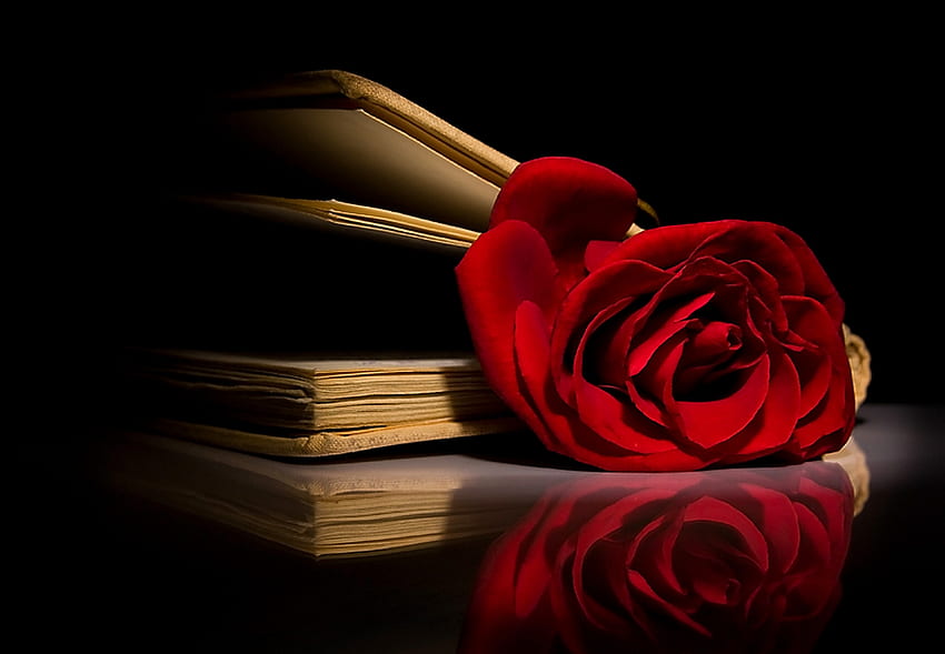 EIN GESCHLOSSENES KAPITEL, Rose, Buch, Reflexion, Blume, geschlossen, rot HD-Hintergrundbild