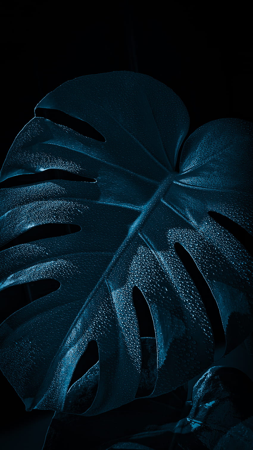 Monstera azul escuro, natureza, folha, pixel, grafia Papel de parede de celular HD