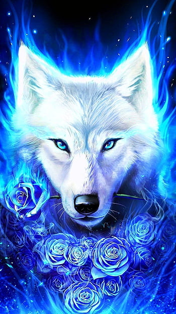 BLUE fire galaxy wolf wolves HD phone wallpaper  Peakpx