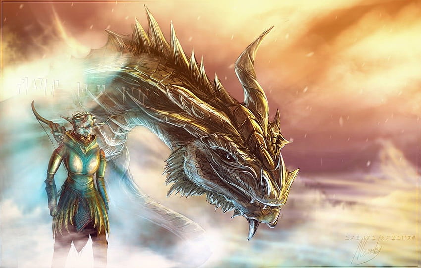 dragon, art, dragonborn, Skyrim, race, the Argonian, parturnaks for , section игры, Skyrim Argonian HD wallpaper