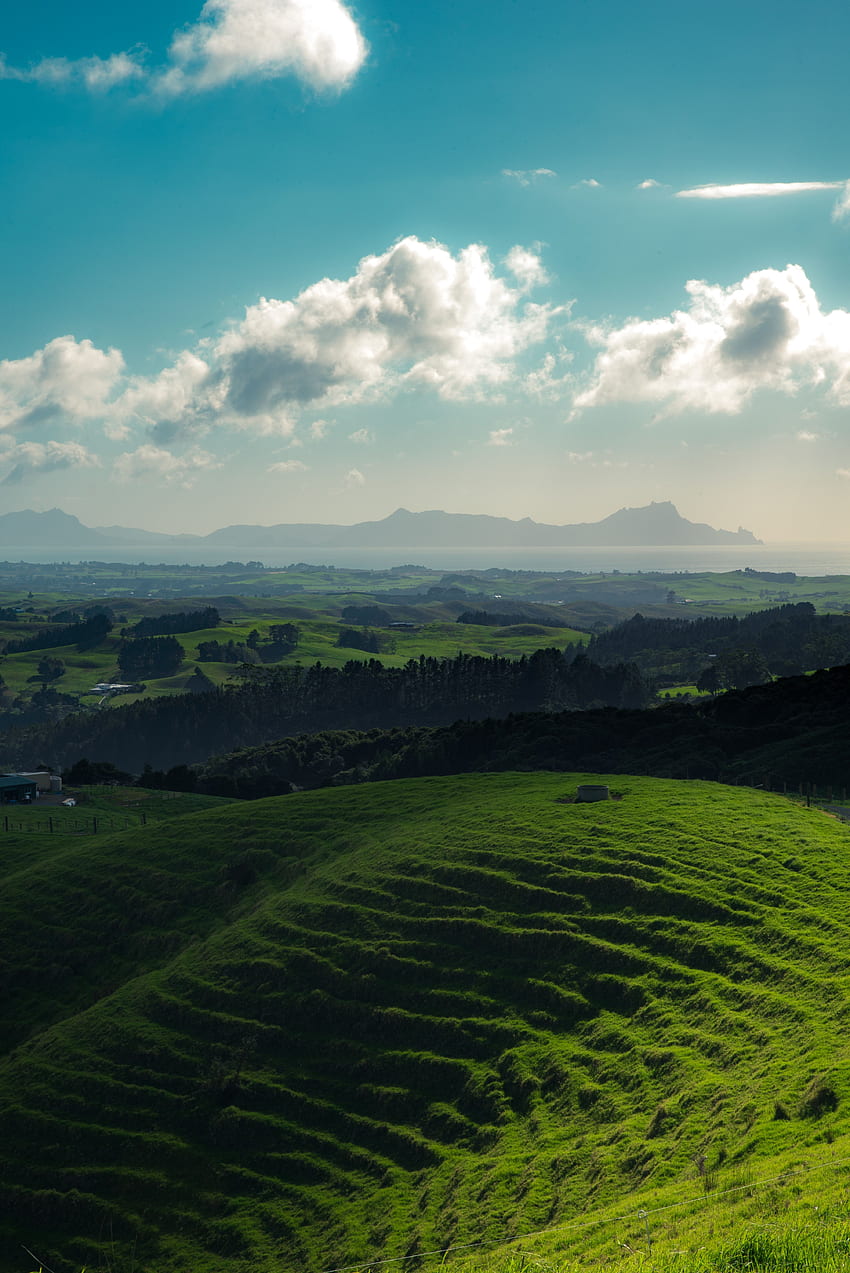 Natur, Gras, Gebirge, Horizont, Neuseeland, Hügel, Whangarei HD-Handy-Hintergrundbild