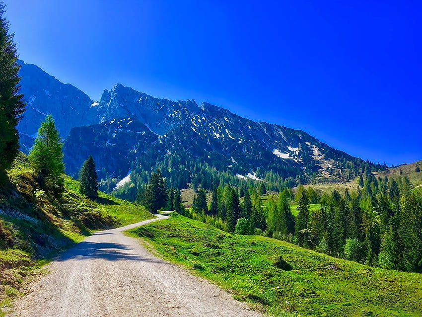 Wilder Kaiser mountains near Scheffau, Tyrol, Austria HD wallpaper