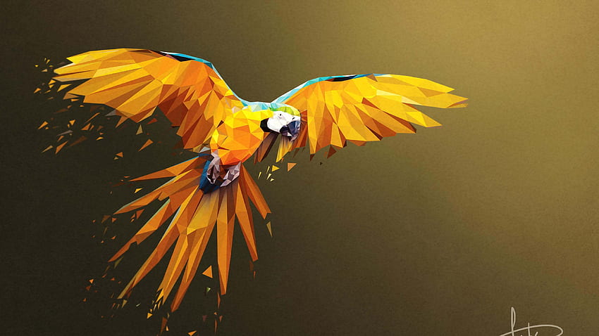 Birds , Ultra Background - Great Love Art, Cool Bird HD wallpaper | Pxfuel