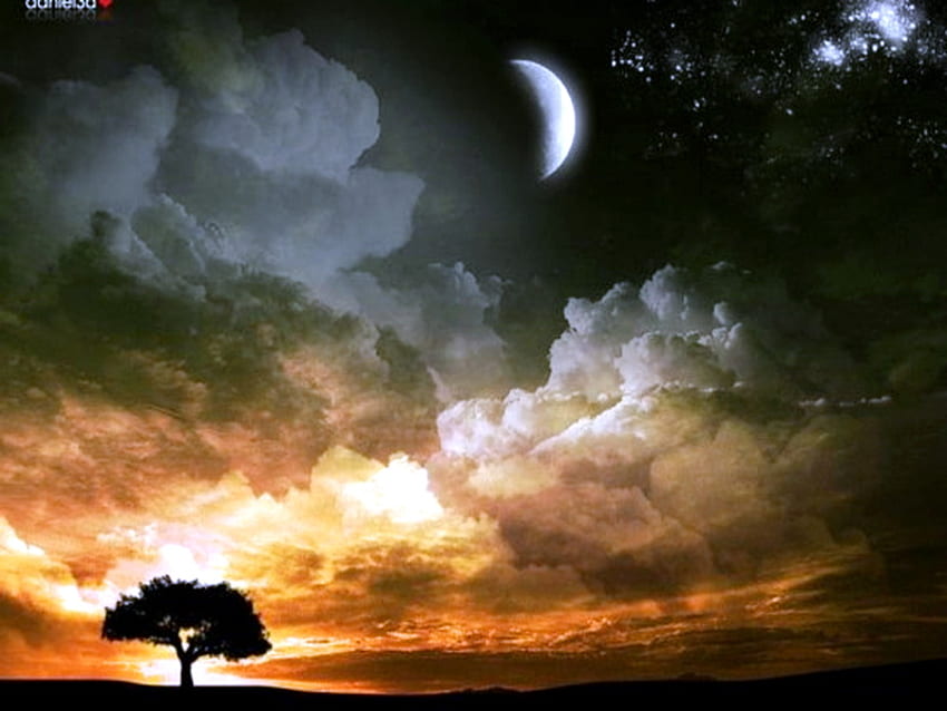 Beauty above, night, gold sky, moon, clouds, stars, sunset, tree HD wallpaper
