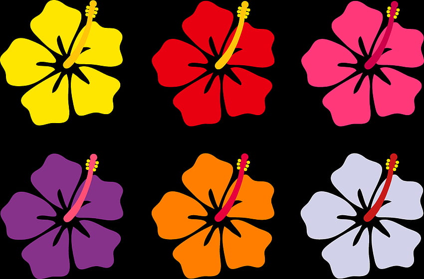 sets of flowers clip art, Hawaiian Luau HD wallpaper