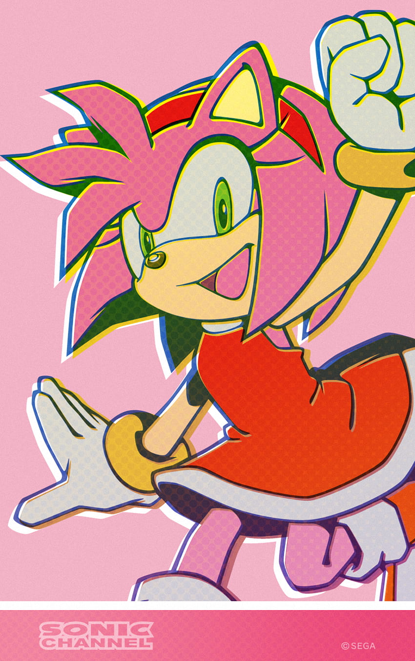 Sonic the Hedgehog Tails Amy Rose Silver o ouriço, ouriço fofo, sonic The  Hedgehog, vertebrado png