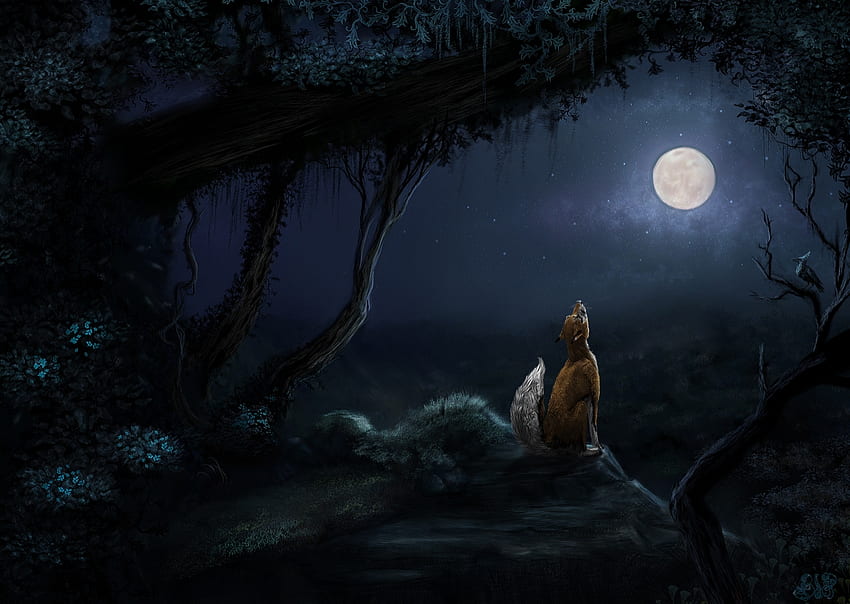 Night fox, night, bjpentecost, howl, vulpe, fox, moon, fantasy, luna, luminos, forest HD wallpaper