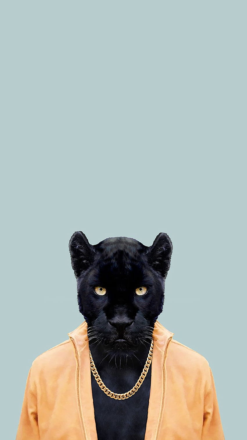Black Panther IPhone, Cool Black Panther Animal HD phone wallpaper | Pxfuel