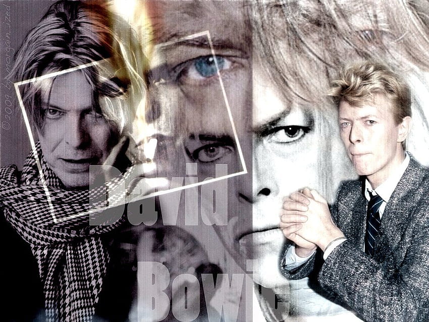 David Bowie. David Guetta Dangerous, David Bowser e David Man of Steel, David Bowie Labyrinth papel de parede HD