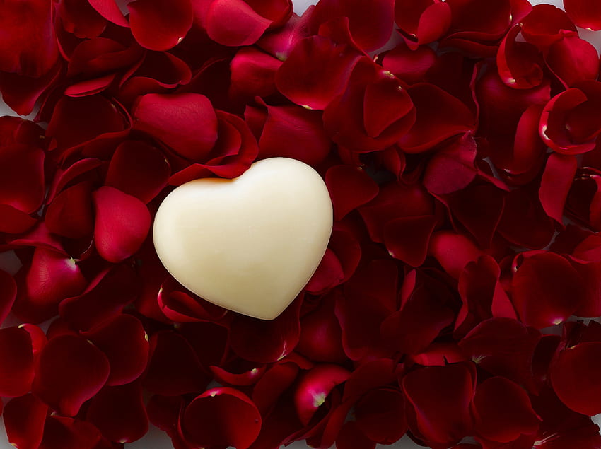 Cinta, Bunga Mawar, Mawar, Kelopak, Hati Wallpaper HD