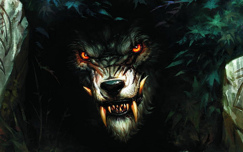 Werewolf, creature, fantasy, dark HD wallpaper