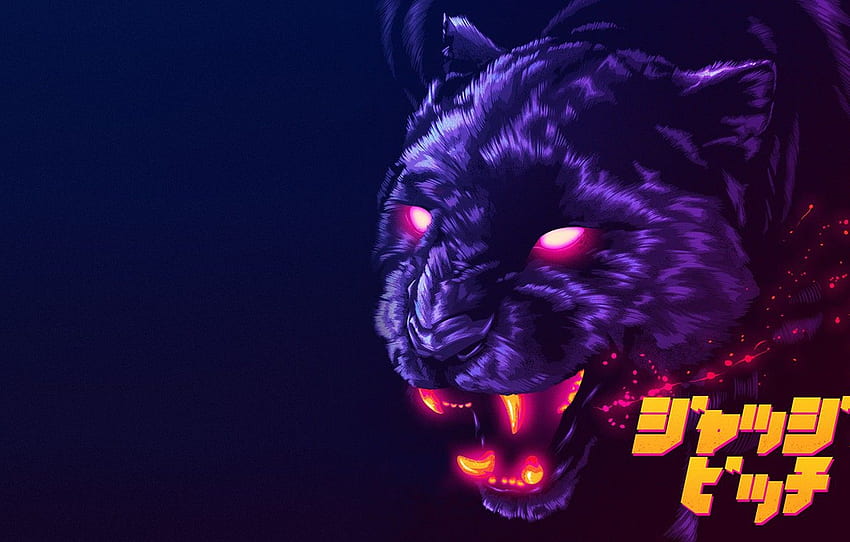 Music, Cat, Panther, Neon, James White, 80's, Synth, Retrowave, Synthwave, New Retro Wave, Futuresynth, Sintav, Retrouve, Outrun, by James White, Judge Bitch for , раздел музика HD тапет