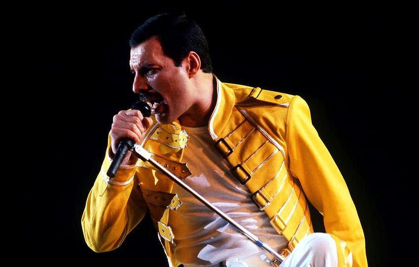 Freddie Mercury Fond d'écran HD