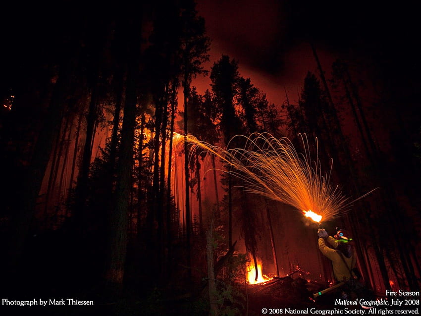 pemadam kebakaran, pemadam kebakaran, kebakaran hutan Wallpaper HD