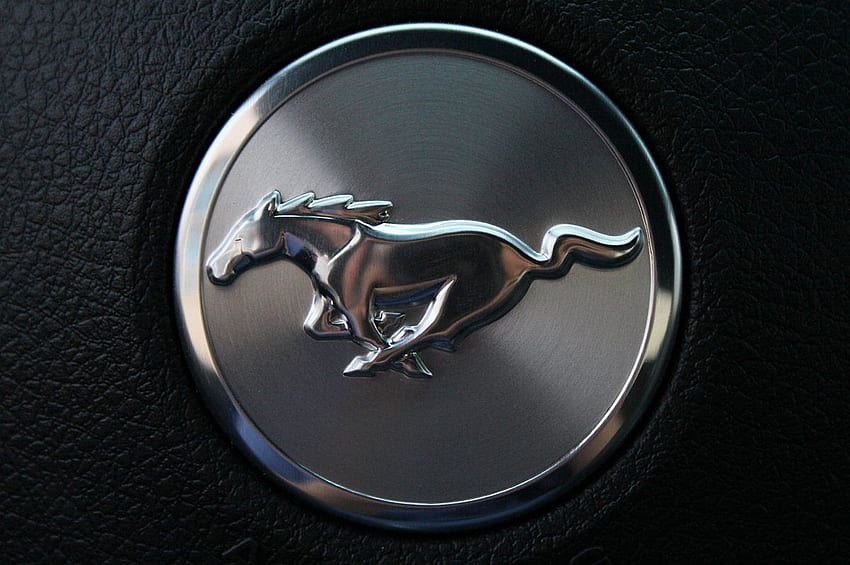 โลโก้ Mustang สุดเท่ห์ Metro Ford - CityConnectApps, Mustang Emblem วอลล์เปเปอร์ HD