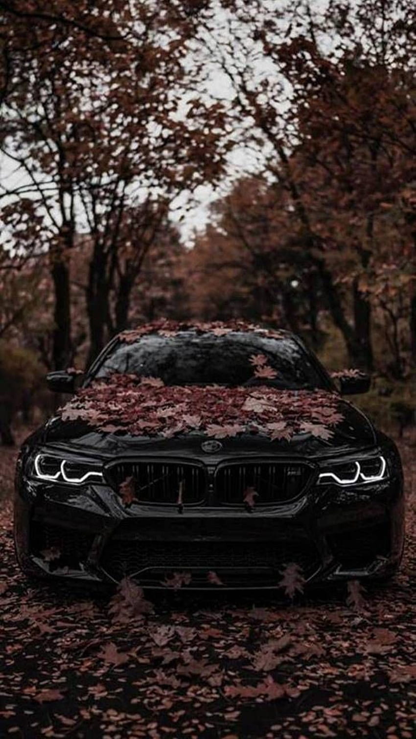 HD wallpaper: black BMW E39, car, machine, Wallpaper, tuning, is