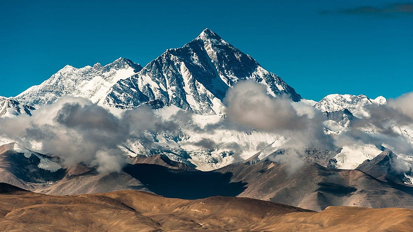 Tag Tibet : Gunung Banteng Cina Alam Sapi Yak Tibet, Himalaya Tibet Wallpaper HD