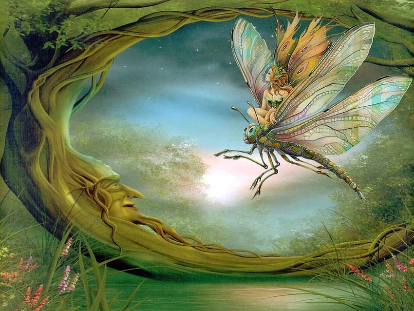 아름다운 나비, 동물, 화려한, 마술, 색상, 소녀, 아름다운, 나무, 나비, 환상, 공기, 이상한 나라, 자연, 화려 HD 월페이퍼